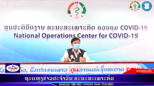 RPcovid19-2021-06-13 13:45:40